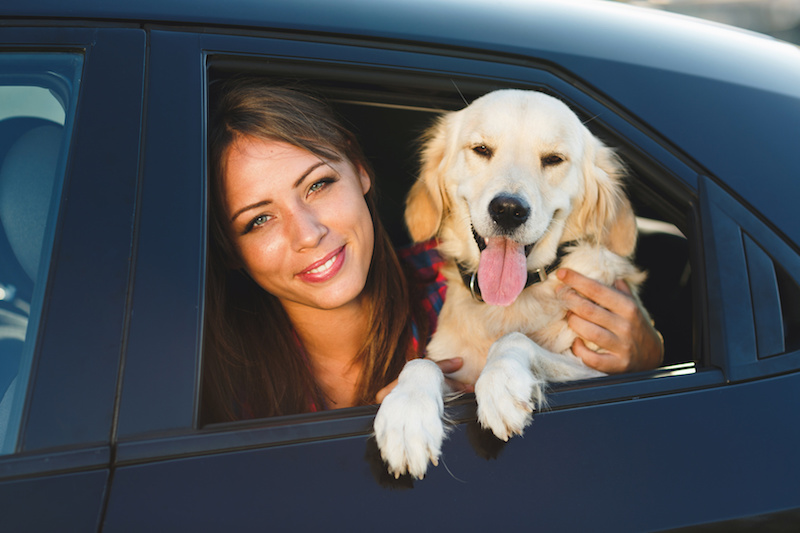 Pet Friendly 